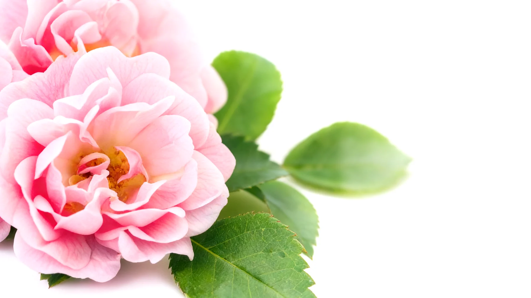 Unter uns2026-03-24T05:38:10.062Z"